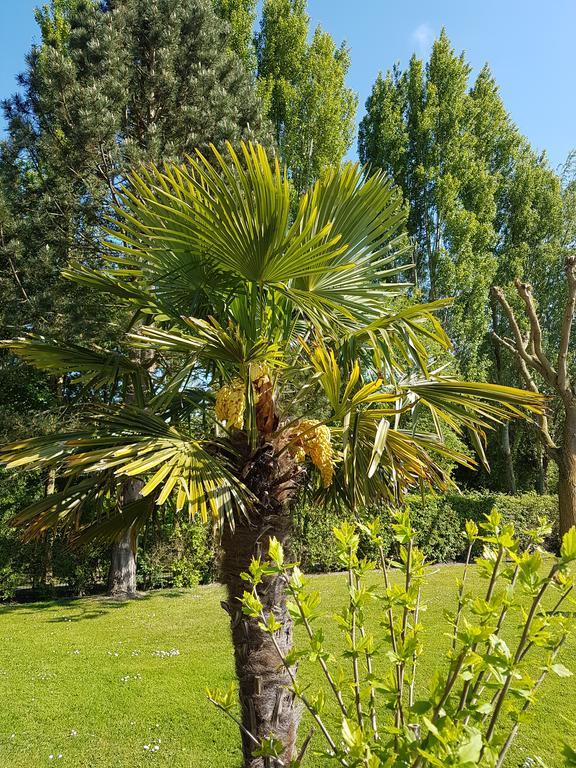 Hotel Du Golf Cabourg Exterior foto